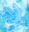 Spearmint