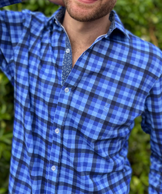 Button Down Shirts