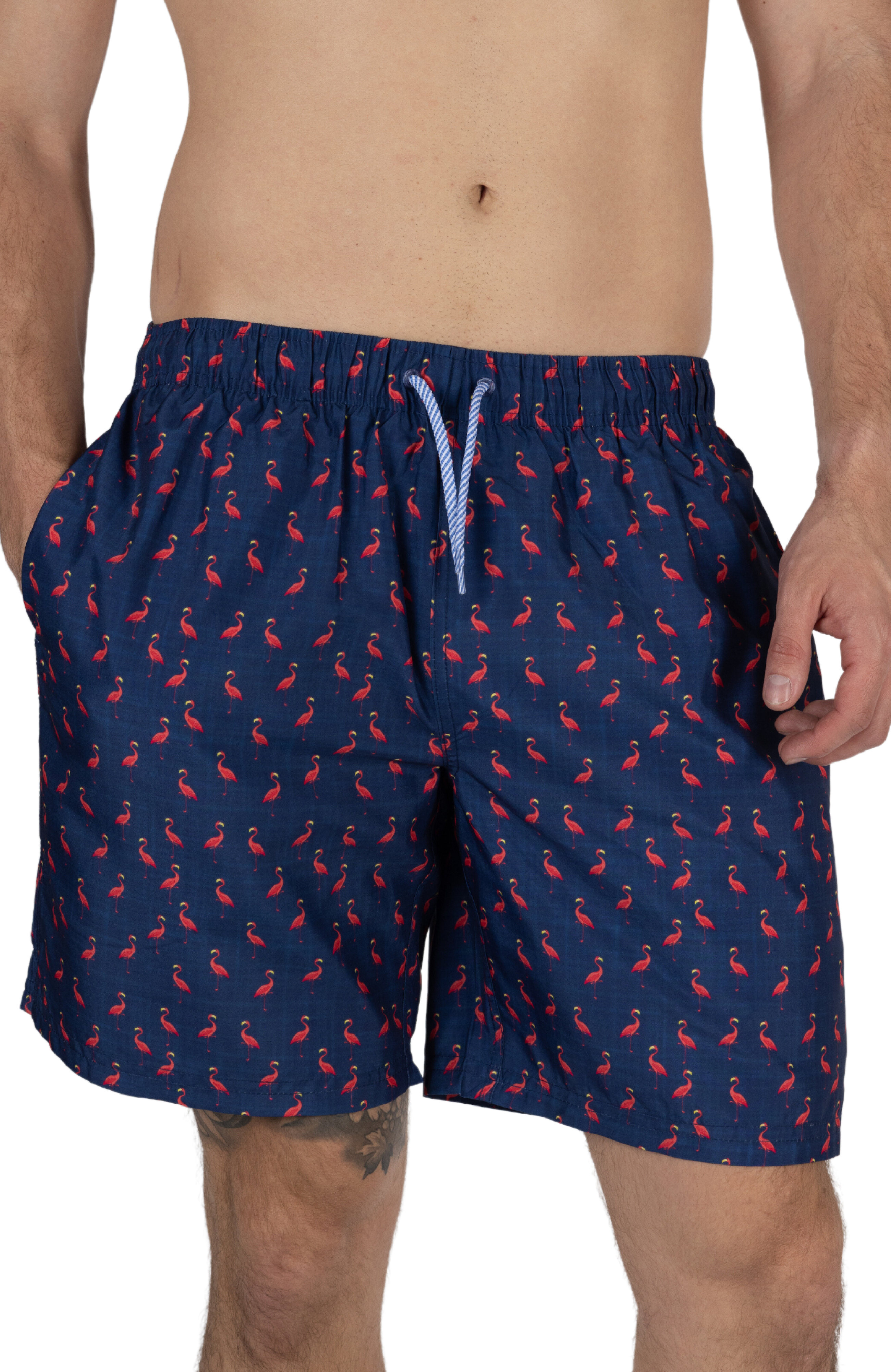 Mens flamingo swim 2024 shorts