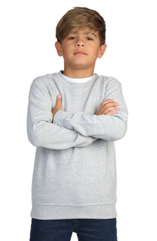 Boys Sueded Fleece Crewneck Pullover