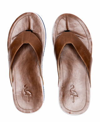 Tim Flip Flop