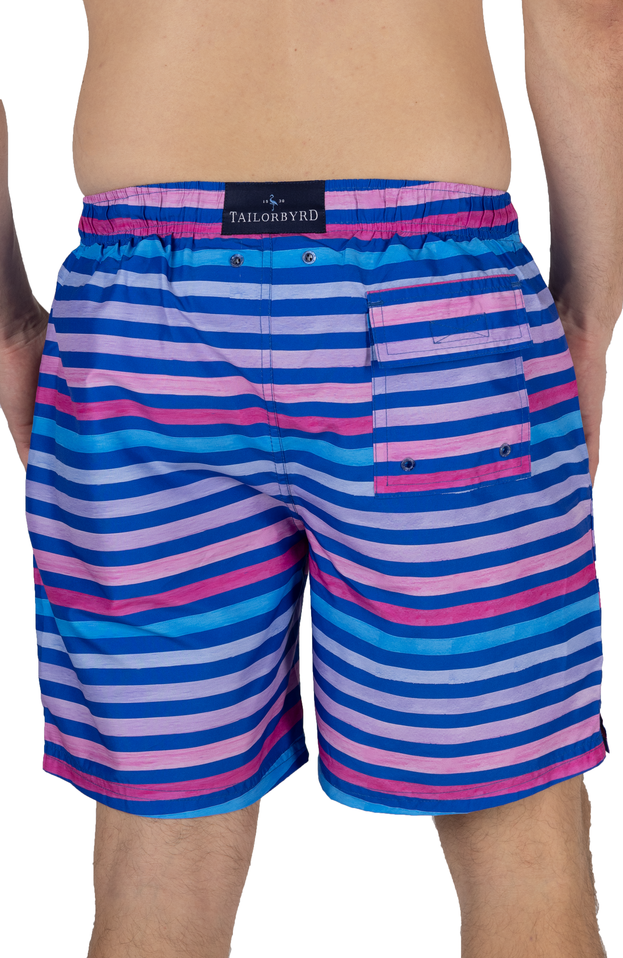 Blue stripe 2025 swim shorts