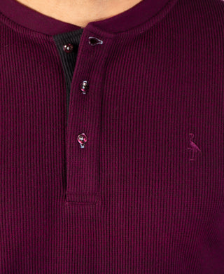 Cozy Knit Henley